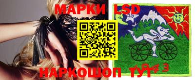 хмурый Кингисепп