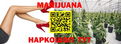 хмурый Кингисепп