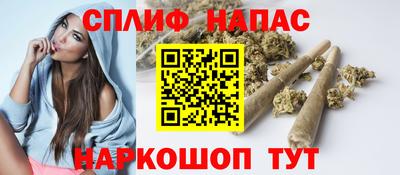 хмурый Кингисепп